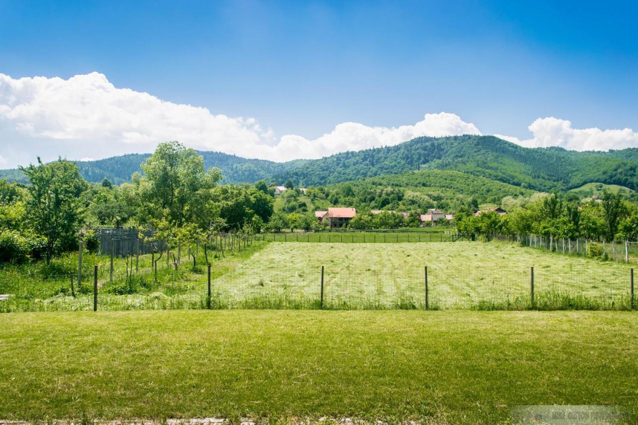 Casa Rudi & Ella Hotell Sălişte Exteriör bild